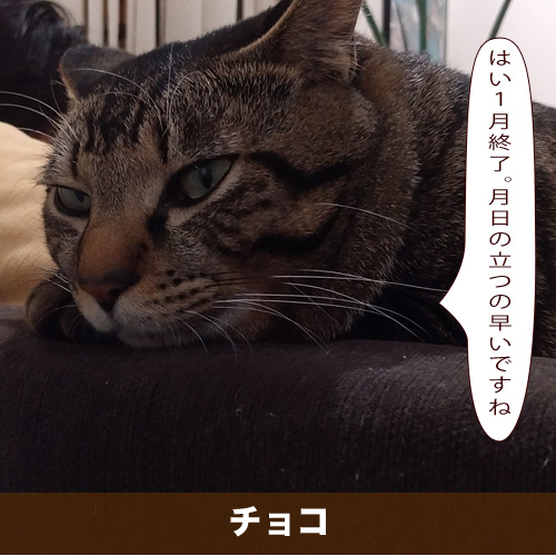 20210131_touko.jpg