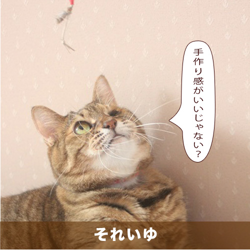 20210203_touko.jpg