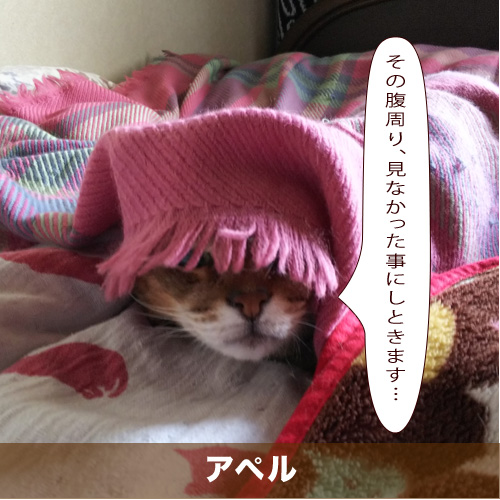 20210204_touko.jpg