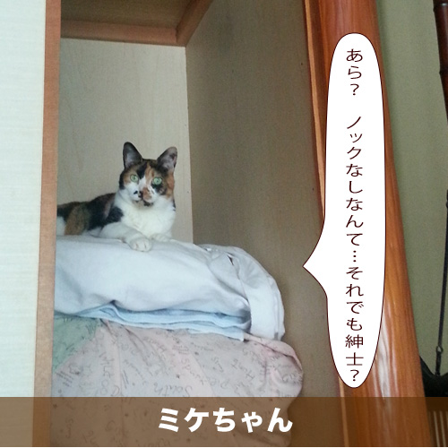 20210205_touko.jpg