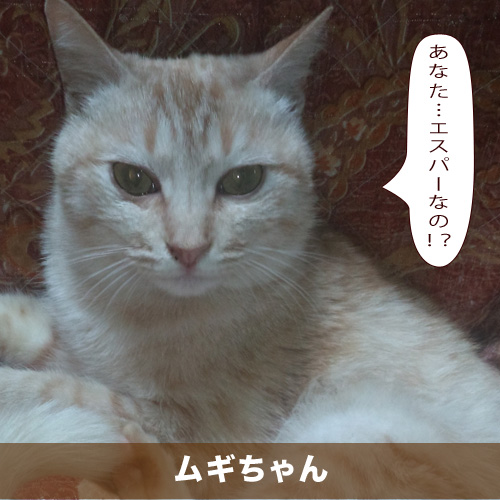 20210207_touko.jpg