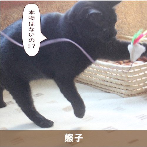 20210208_touko.jpg