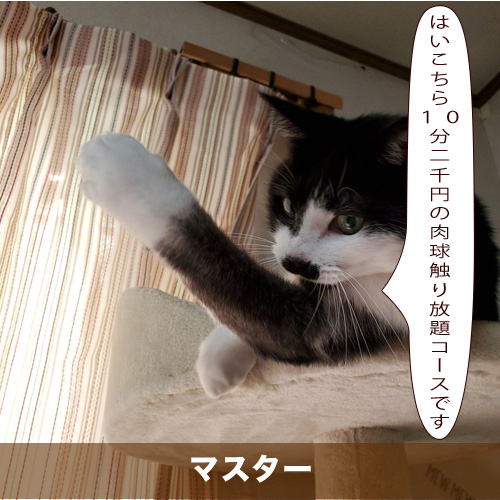20210211_touko.jpg