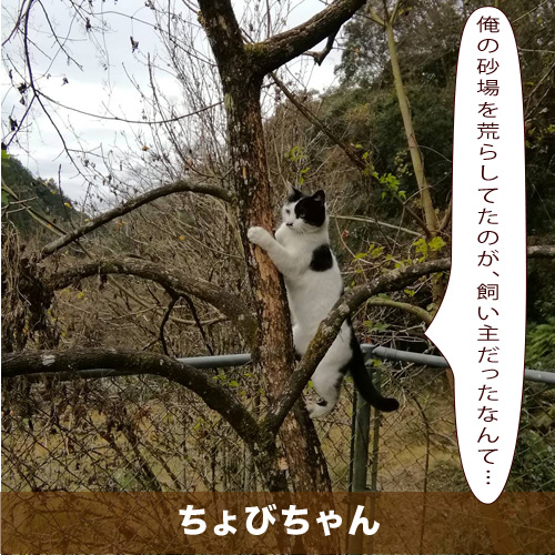 20210212_touko.jpg