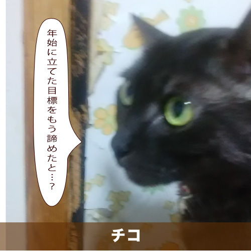 20210214_touko.jpg