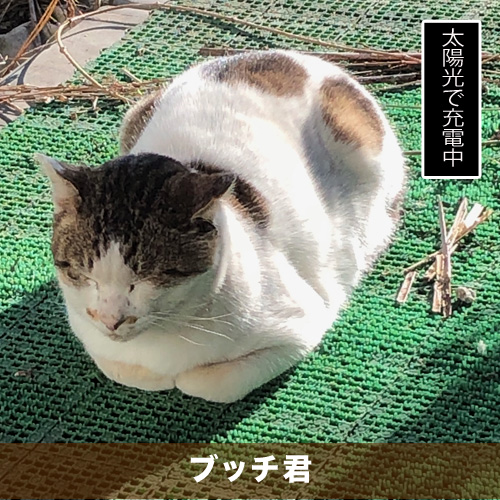 20210219_touko.jpg