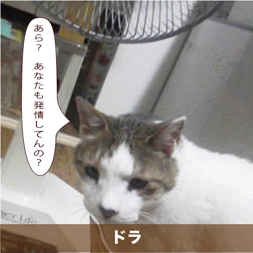 20210221_touko.jpg