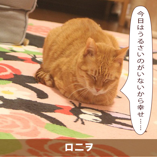 20210303_touko.jpg