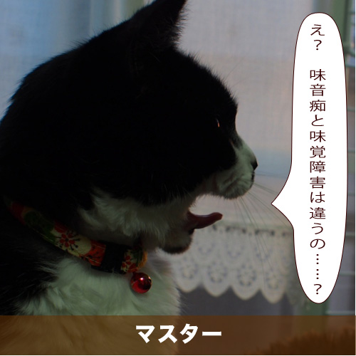 20210304_touko.jpg