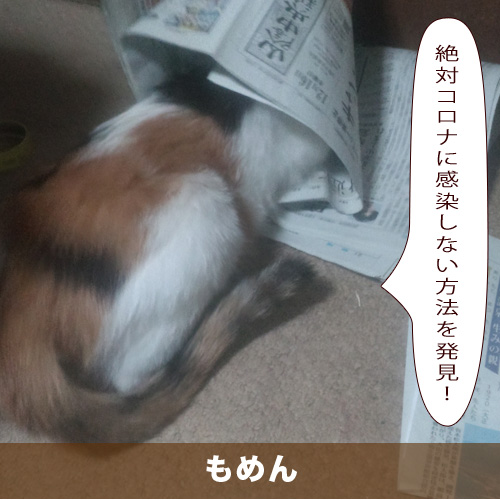 20210307_touko.jpg
