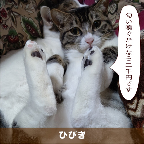 20210309_touko.jpg