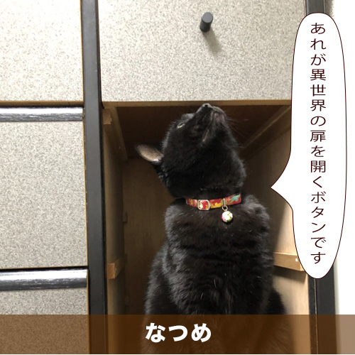 20210310_touko.jpg