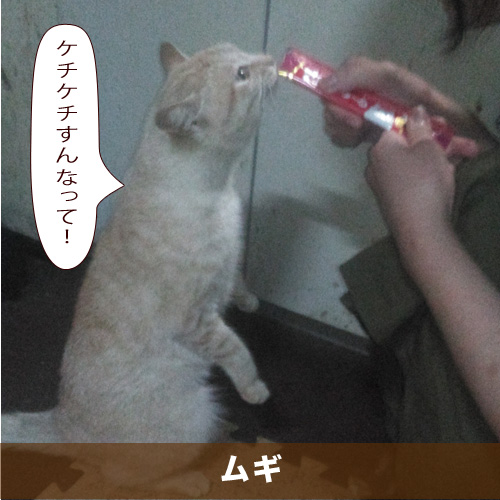 20210311_touko.jpg
