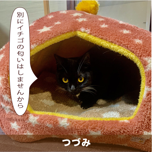 20210312_touko.jpg