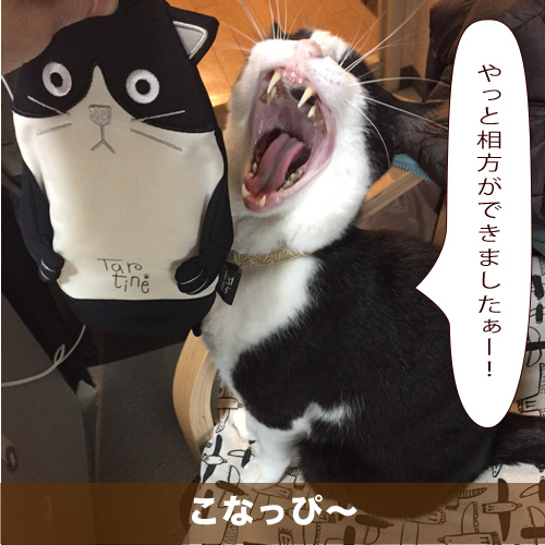 20210314_touko.jpg