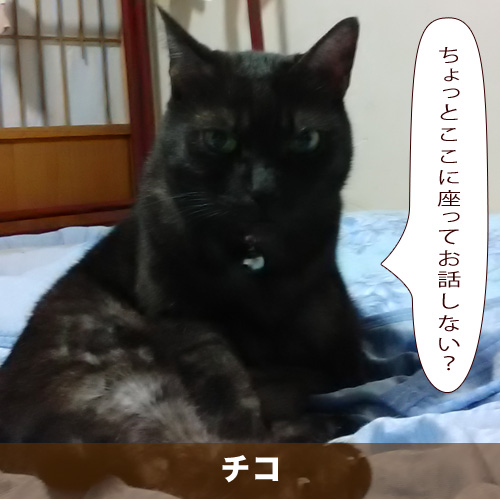 20210315_touko.jpg
