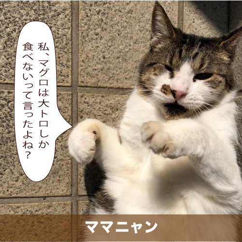 20210316_touko.jpg