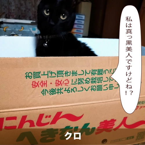 20210319_touko.jpg