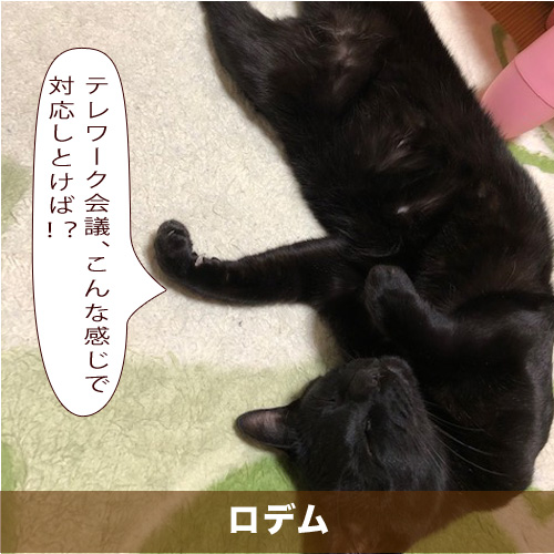 20210320_touko.jpg
