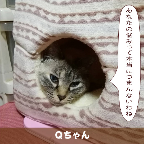20210321_touko.jpg