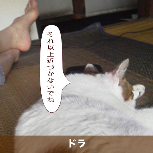 20210322_touko.jpg
