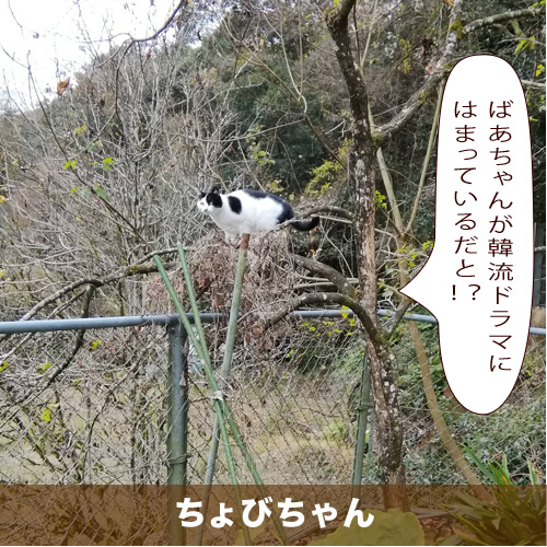 20210323_touko.jpg
