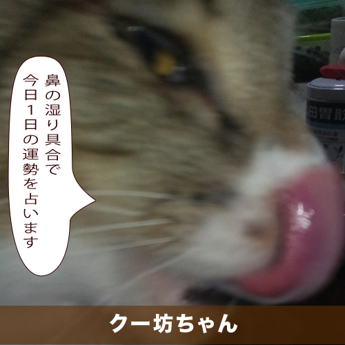 20210324_touko.jpg