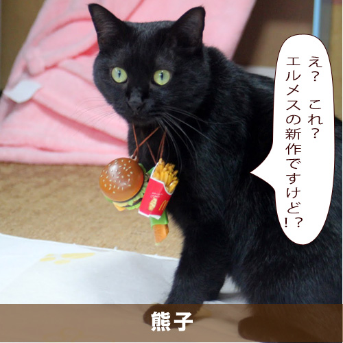20210327_touko.jpg