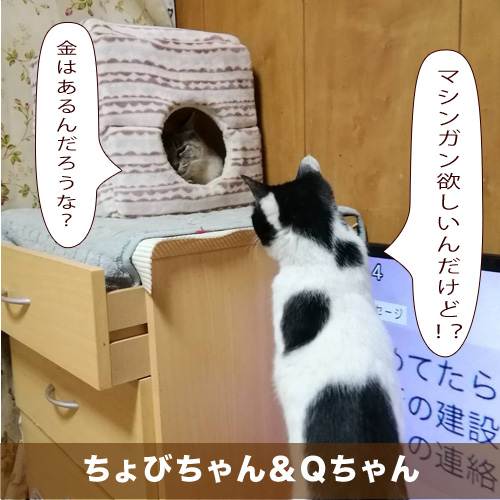 20210328_touko.jpg