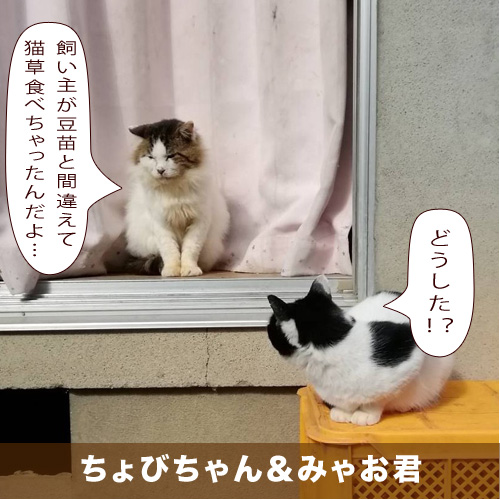 20210329_touko.jpg