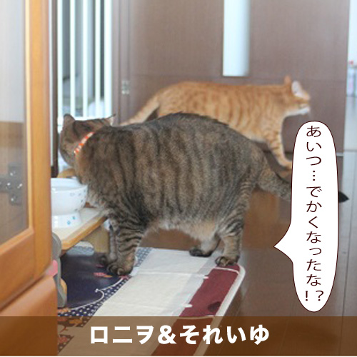 20210331_touko.jpg