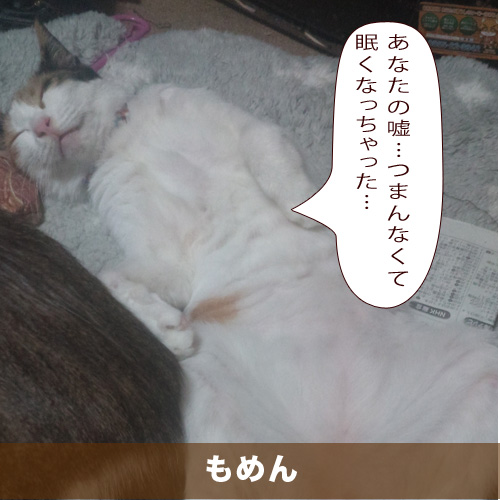 20210401_touko.jpg