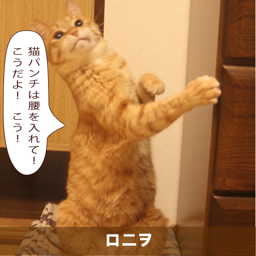 20210404_touko.jpg
