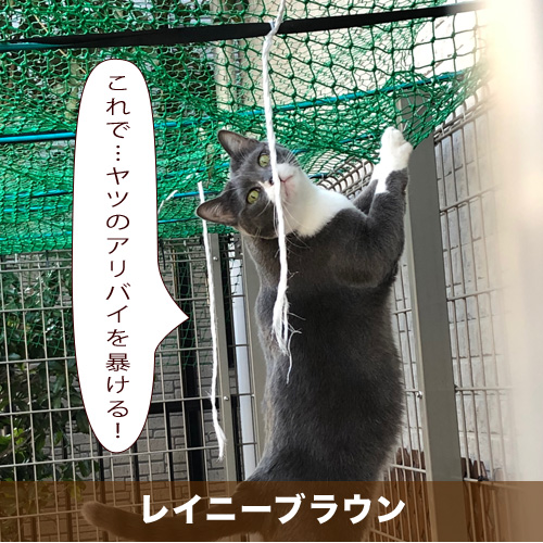 20210405_touko.jpg