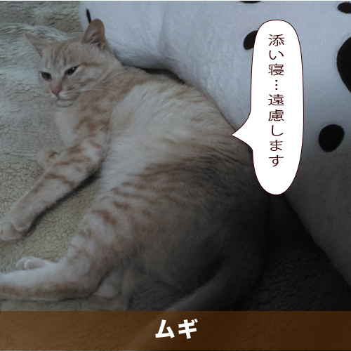 20210408_touko.jpg