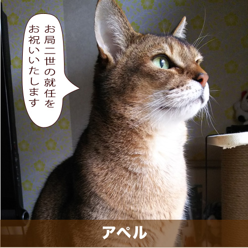 20210411_touko.jpg