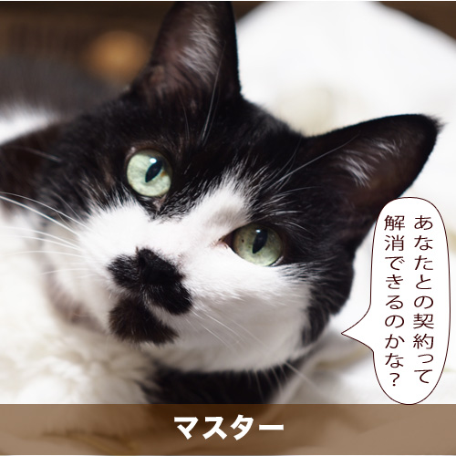 20210412_touko.jpg