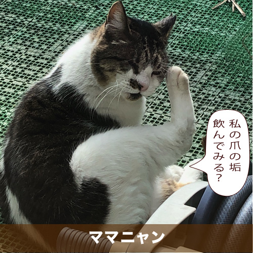 20210414_touko.jpg