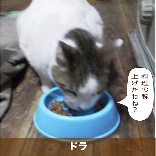 20210415_touko.jpg