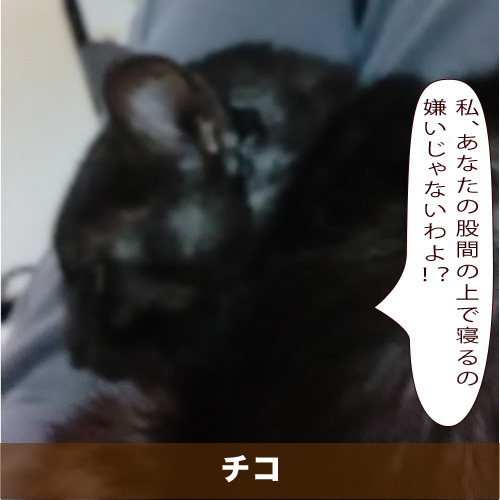 20210416_touko.jpg