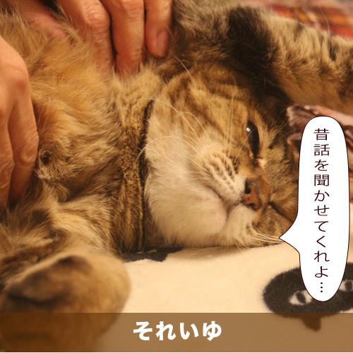 20210418_touko.jpg