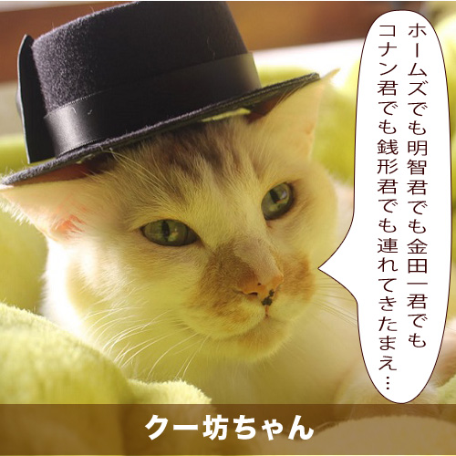 20210420_touko.jpg