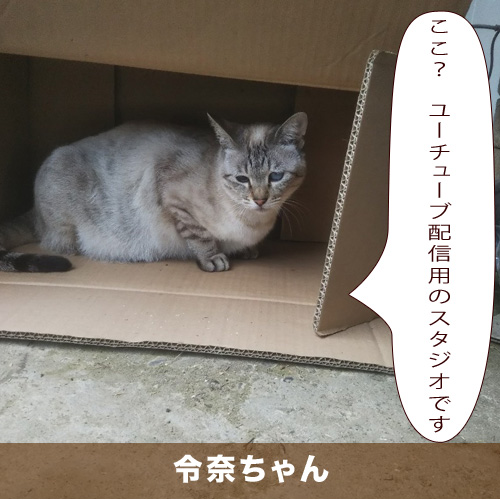 20210421_touko.jpg