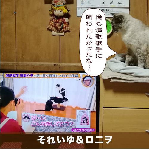 20210426_touko.jpg