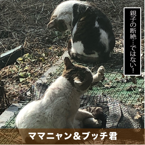 20210427_touko.jpg