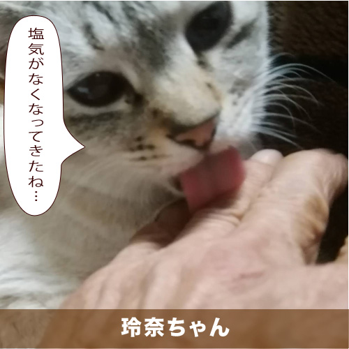 20210501_touko.jpg