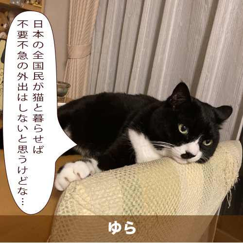 20210502_touko.jpg