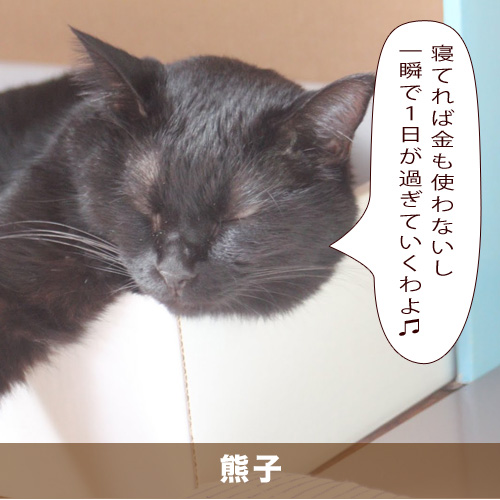 20210503_touko.jpg