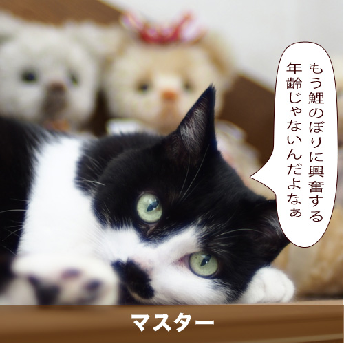 20210505_touko.jpg
