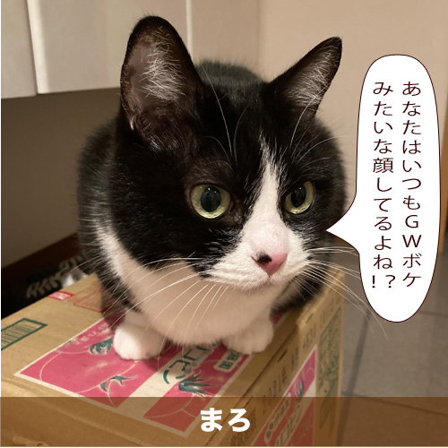 20210506_touko.jpg